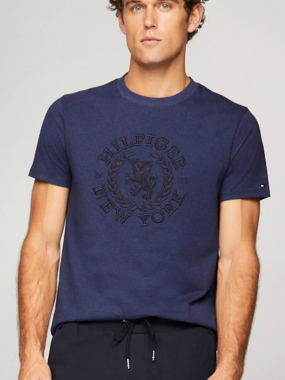 new with tags Tommy Hilfiger Embroidered Heritage Crest Logo T-Shirt - NAVY BLUE